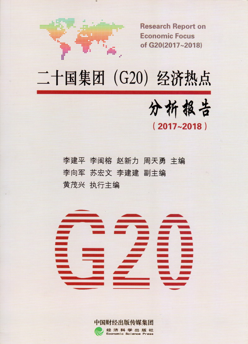 美女穿黑丝日逼二十国集团（G20）经济热点分析报告（2017-2018）