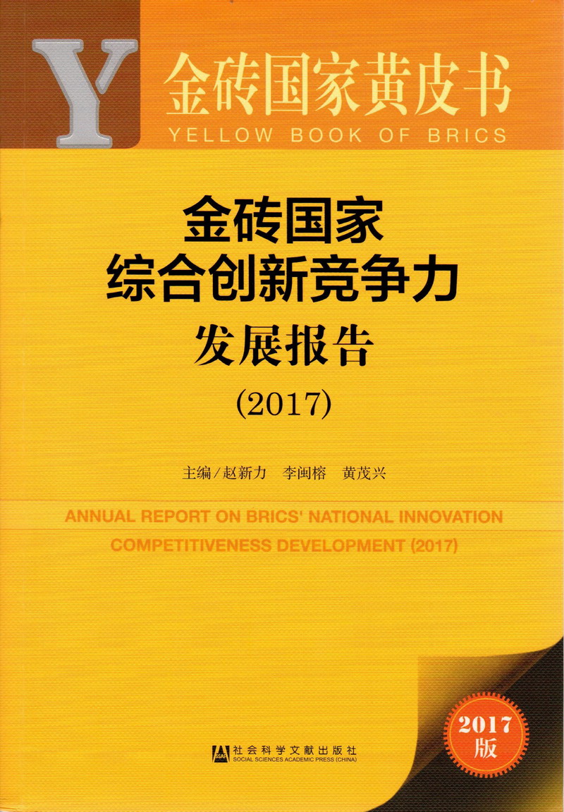 大奶操逼视频金砖国家综合创新竞争力发展报告（2017）